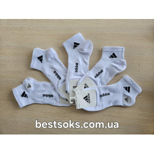 WS2590 Женские короткие спортивные носки
